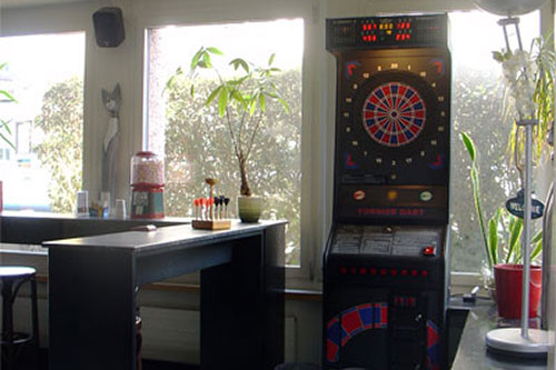 Dart Golden 8 Bild 3